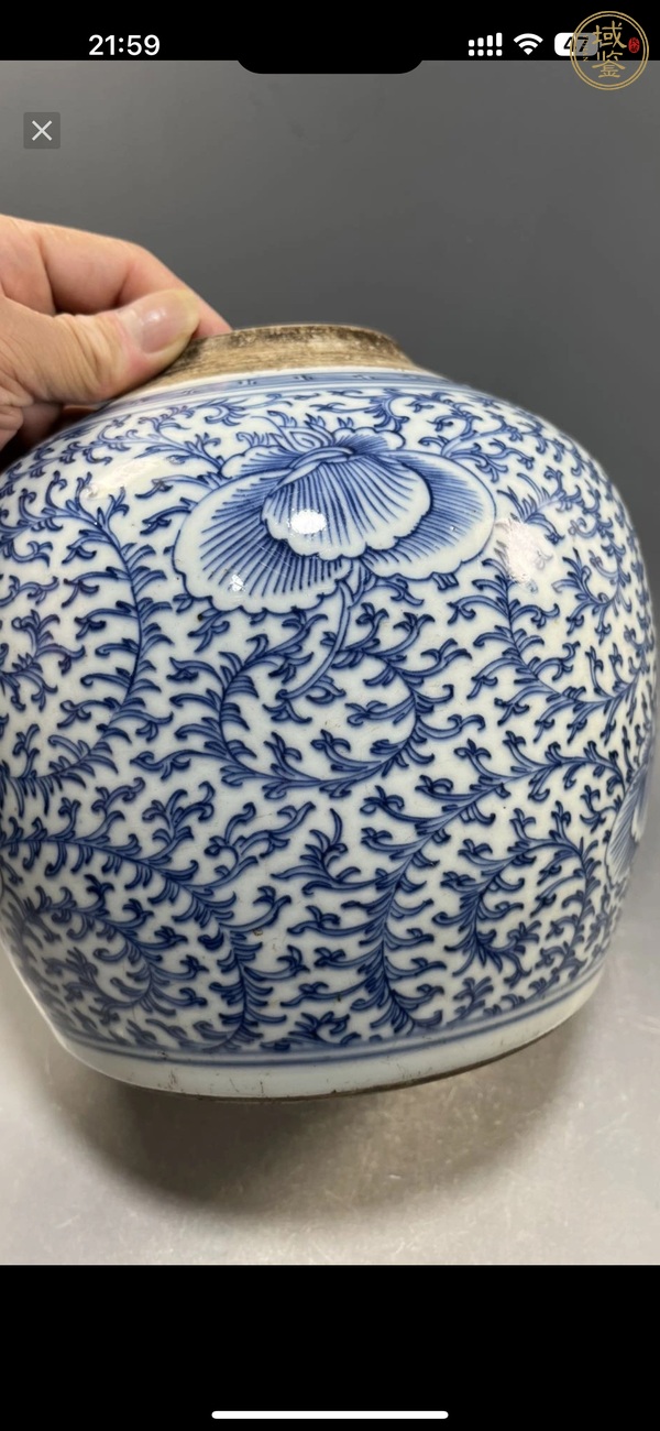 古玩陶瓷青花枝花卉紋蓋罐真品鑒賞圖