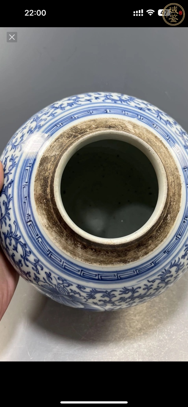 古玩陶瓷青花枝花卉紋蓋罐真品鑒賞圖