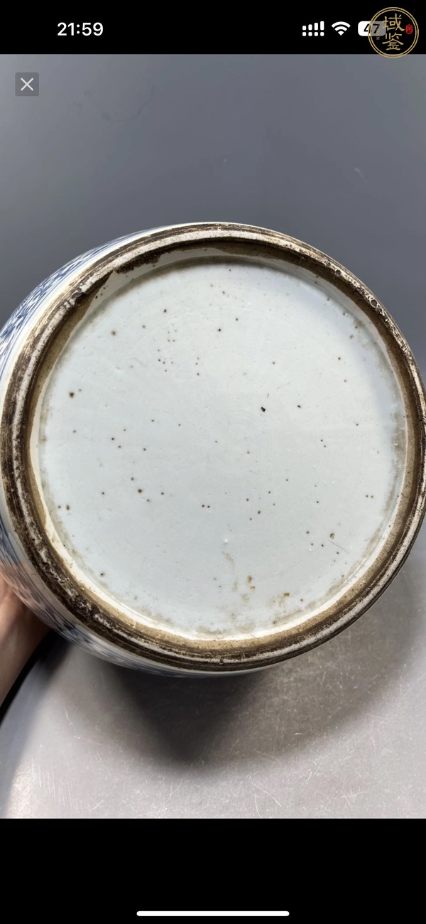 古玩陶瓷青花枝花卉紋蓋罐真品鑒賞圖