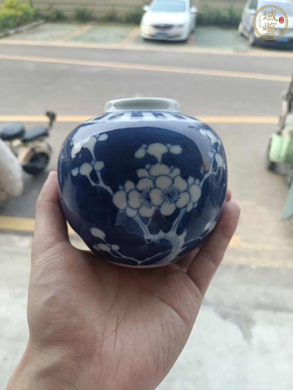 古玩陶瓷青花留白梅紋罐真品鑒賞圖