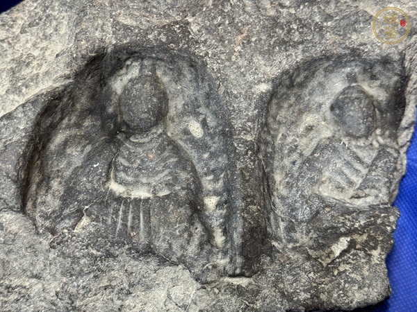 古玩雜項造像殘塊真品鑒賞圖