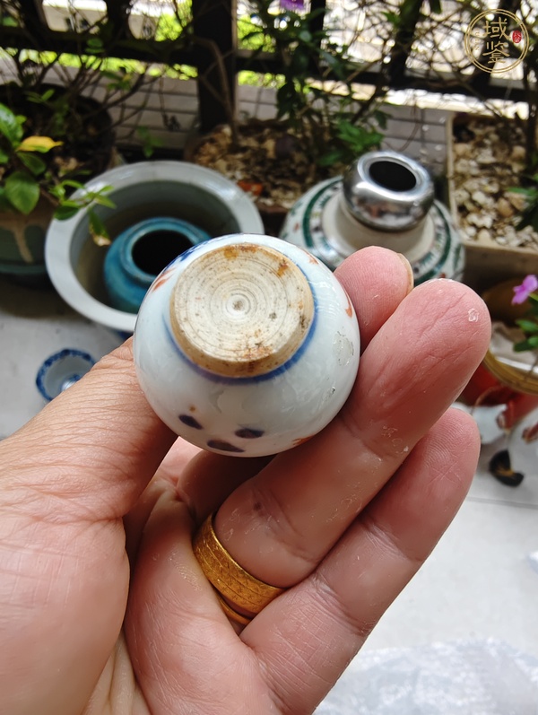 古玩陶瓷康熙青花加彩葫蘆瓶真品鑒賞圖