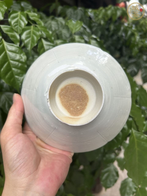 古玩陶瓷湖田窯五出筋刻花花口盞真品鑒賞圖