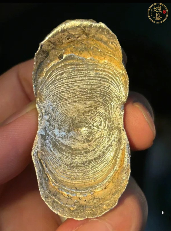 古玩錢幣素面銀錠真品鑒賞圖