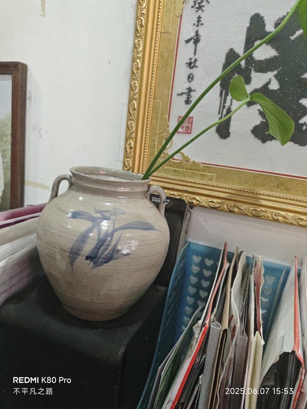 古玩轉(zhuǎn)賣青花花卉紋雙系罐拍賣,當(dāng)前價格1888元