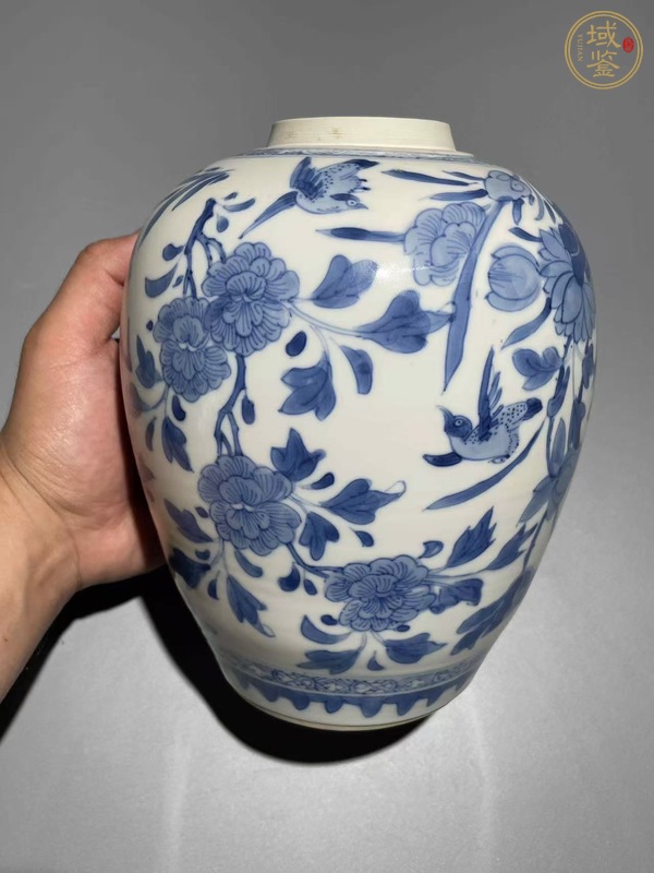 古玩陶瓷康熙青花罐真品鑒賞圖