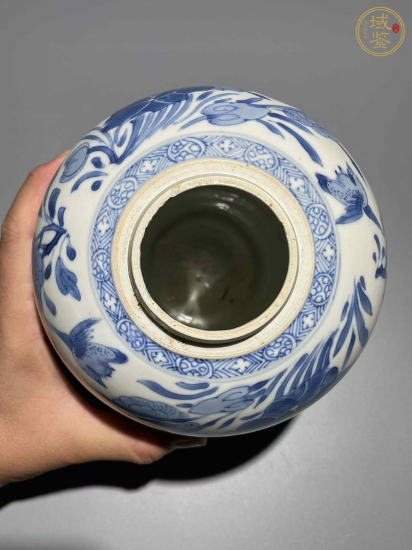 古玩康熙青花罐真品鑒賞圖