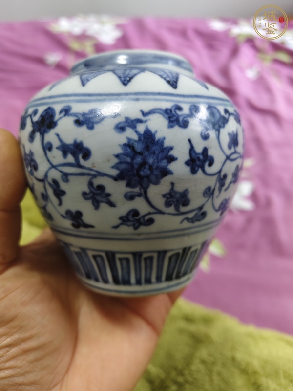 古玩陶瓷明中期 青花纏枝花卉紋罐真品鑒賞圖