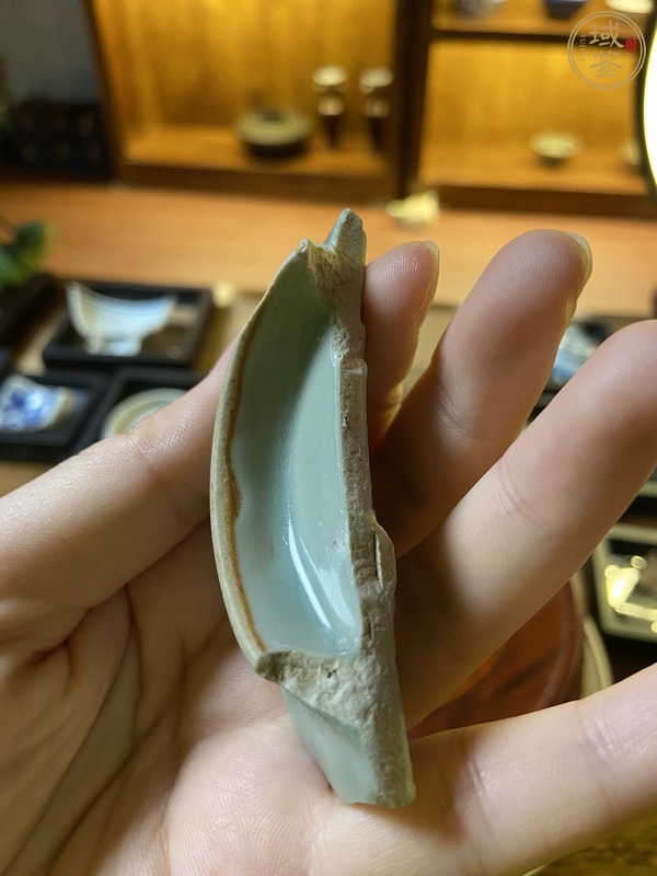 古玩陶瓷龍泉青瓷標本真品鑒賞圖