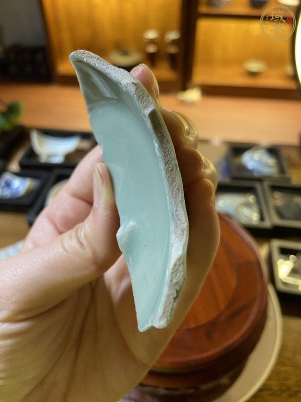 古玩陶瓷龍泉青瓷標本真品鑒賞圖