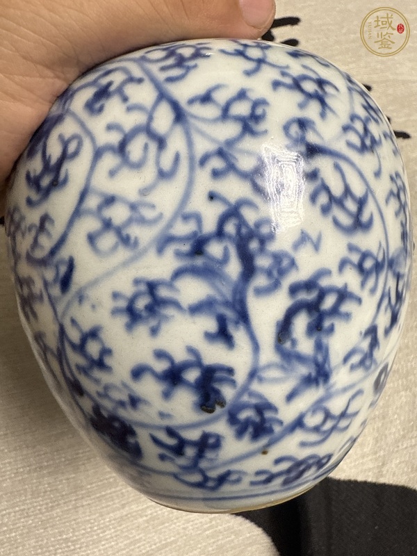 古玩清雍正青花纏枝蓮紋罐真品鑒賞圖