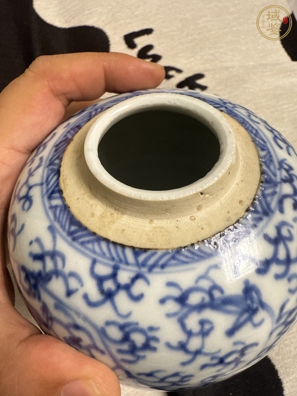 古玩陶瓷清雍正青花纏枝蓮紋罐真品鑒賞圖