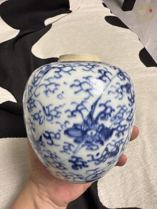 古玩陶瓷清雍正青花纏枝蓮紋罐真品鑒賞圖