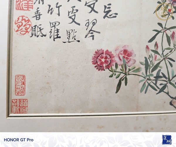 古玩字畫忘憂草真品鑒賞圖