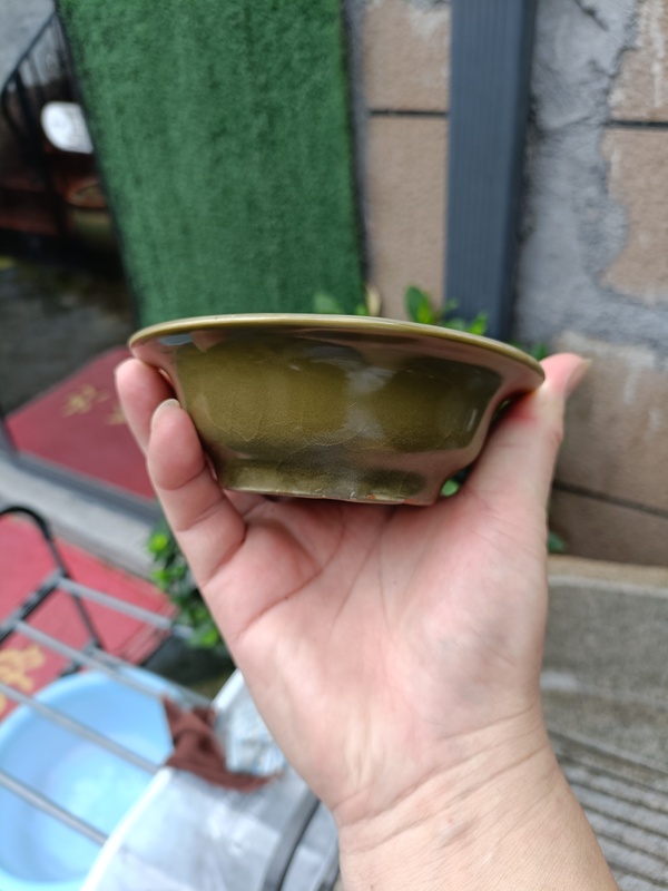 古玩陶瓷宋末元初龍泉青瓷鱔魚黃釉花卉折沿洗拍賣，當前價格1880元