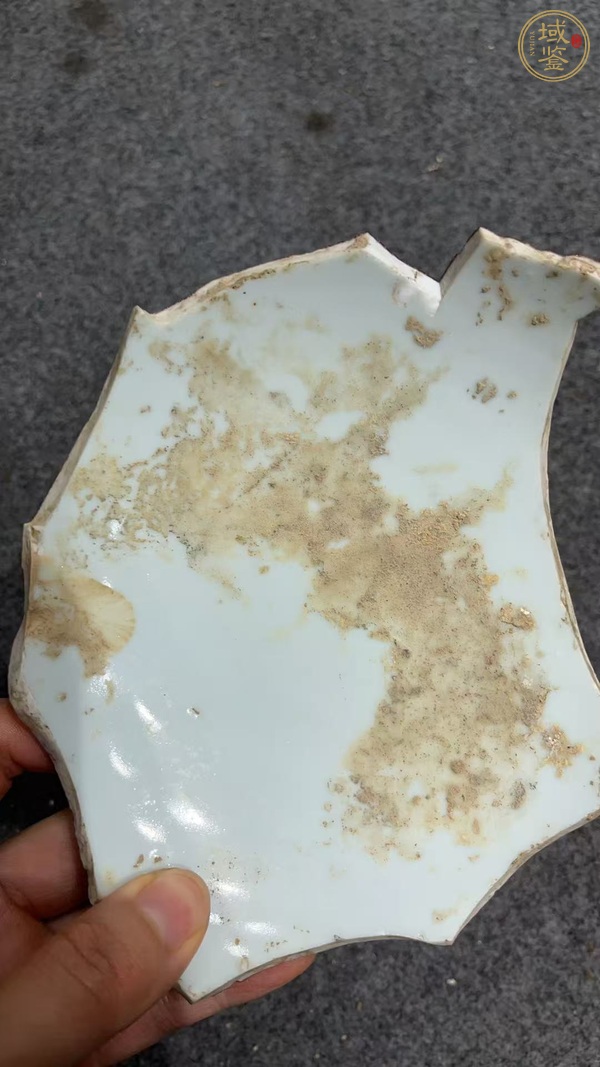 古玩陶瓷霽紅釉標本真品鑒賞圖