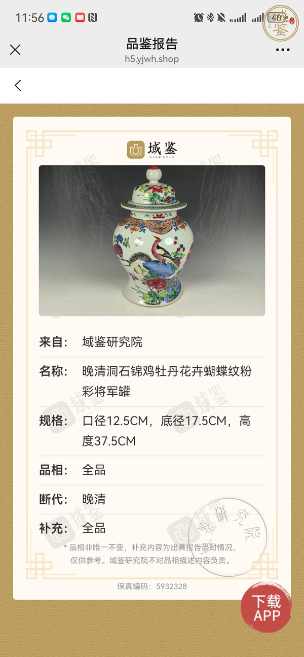 古玩陶瓷晚清細路粉彩洞石花鳥紋將軍罐真品鑒賞圖