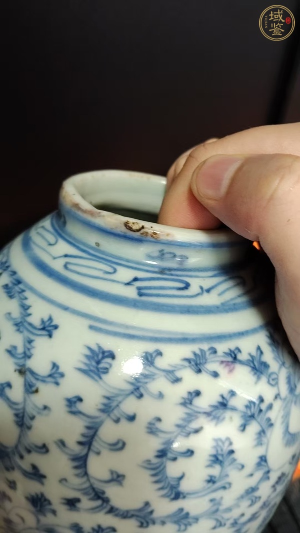 古玩陶瓷青花纏枝花卉紋罐真品鑒賞圖