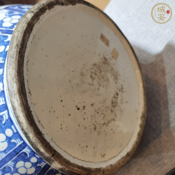 古玩青花釉里紅尊真品鑒賞圖
