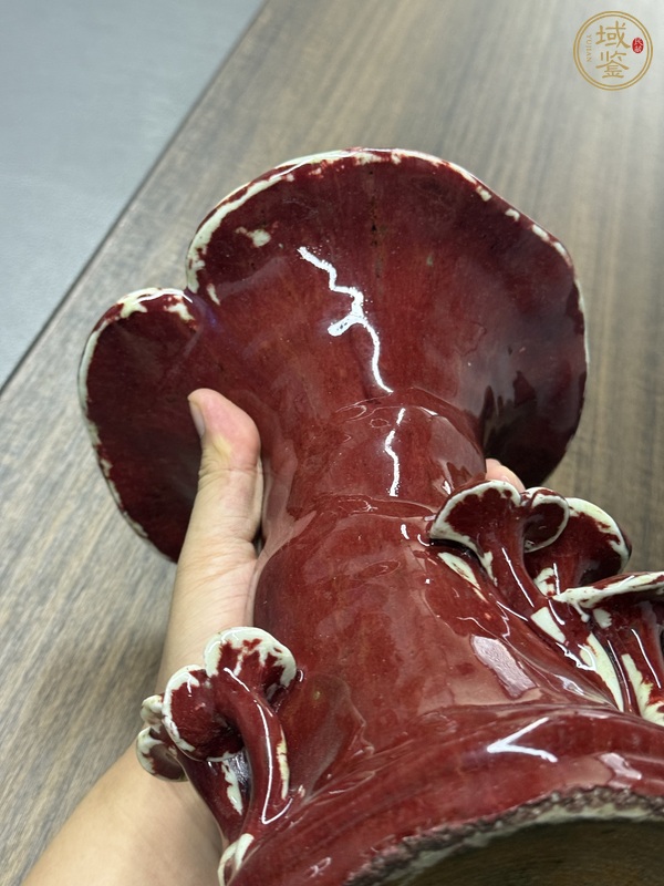 古玩陶瓷鈞紅釉靈芝花觚真品鑒賞圖