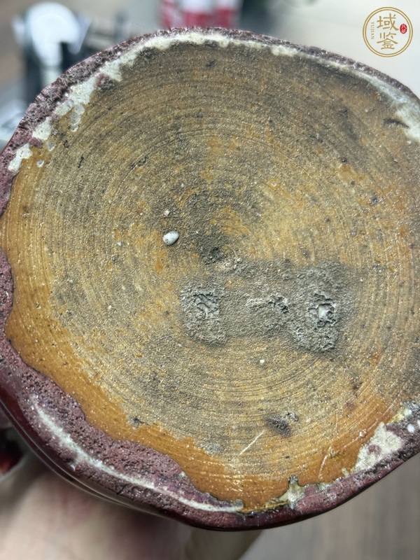 古玩陶瓷鈞紅釉靈芝花觚真品鑒賞圖