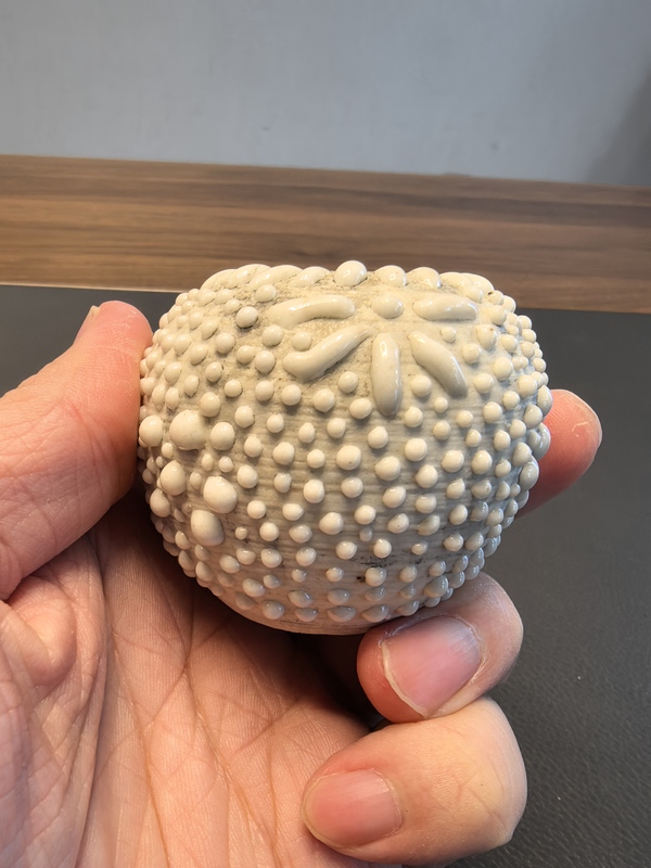 古玩陶瓷晚清一粒株珍珠地文房水盂拍賣，當前價格1280元