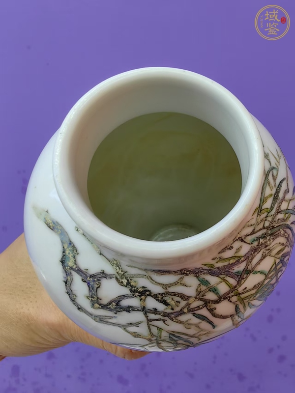 古玩陶瓷粉彩蟲草瓶真品鑒賞圖