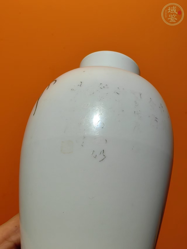 古玩陶瓷粉彩蟲草瓶真品鑒賞圖