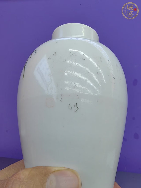 古玩陶瓷粉彩蟲草瓶真品鑒賞圖