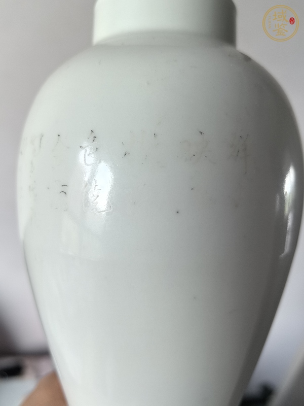 古玩陶瓷粉彩蟲草瓶真品鑒賞圖