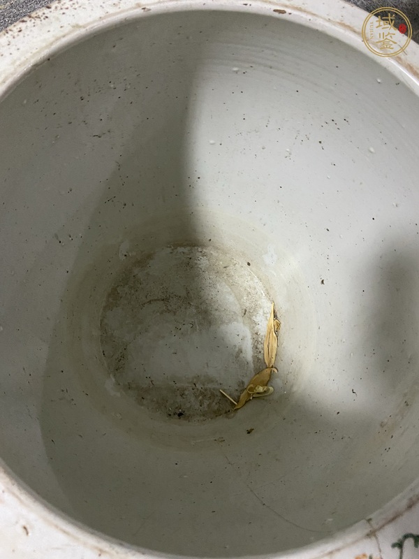 古玩陶瓷五彩開窗荷塘鴛鴦紋大缸真品鑒賞圖
