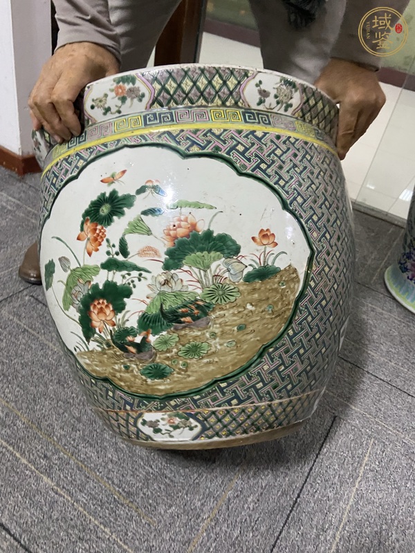 古玩陶瓷五彩開窗荷塘鴛鴦紋大缸真品鑒賞圖