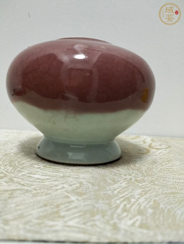古玩陶瓷紅釉水盂真品鑒賞圖
