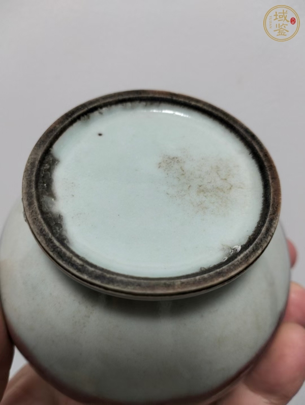 古玩陶瓷紅釉水盂真品鑒賞圖