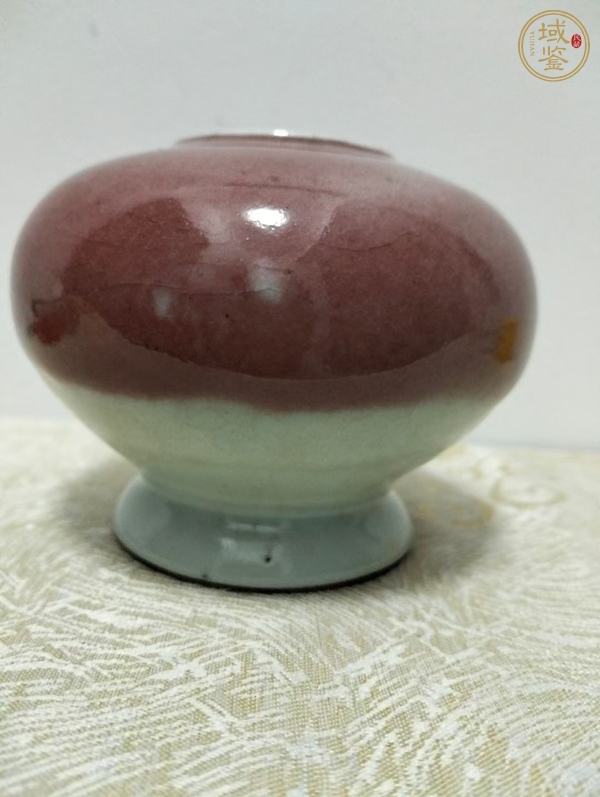 古玩陶瓷紅釉水盂真品鑒賞圖