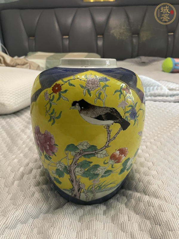 古玩清光緒灑藍開光黃地粉彩花鳥紋罐真品鑒賞圖