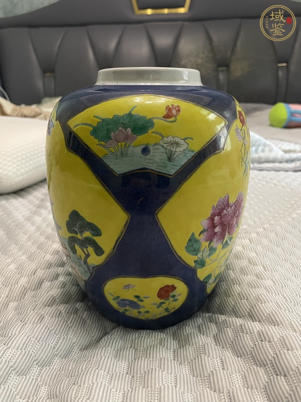 古玩陶瓷清光緒灑藍開光黃地粉彩花鳥紋罐真品鑒賞圖