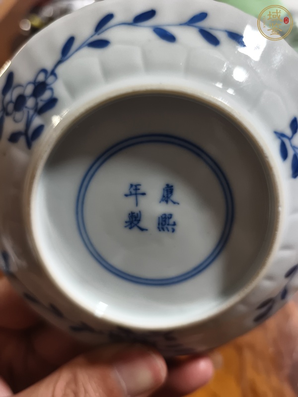 古玩陶瓷青花魚藻紋杯碟真品鑒賞圖