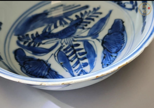古玩花卉紋青花盤(pán)真品鑒賞圖