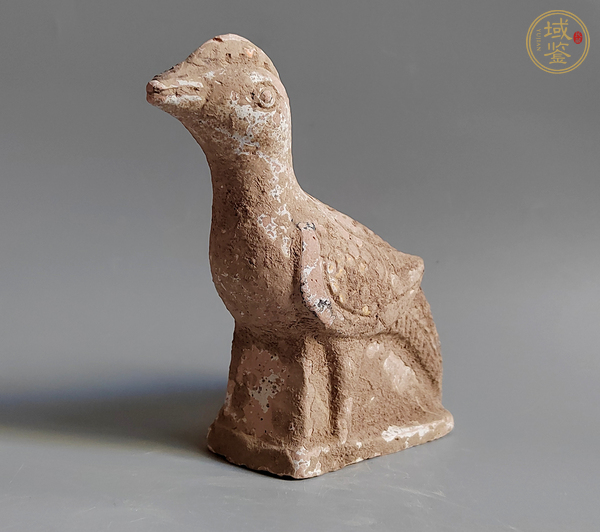 古玩陶瓷陶朱雀真品鑒賞圖