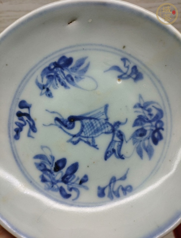 古玩陶瓷青花魚紋盤真品鑒賞圖