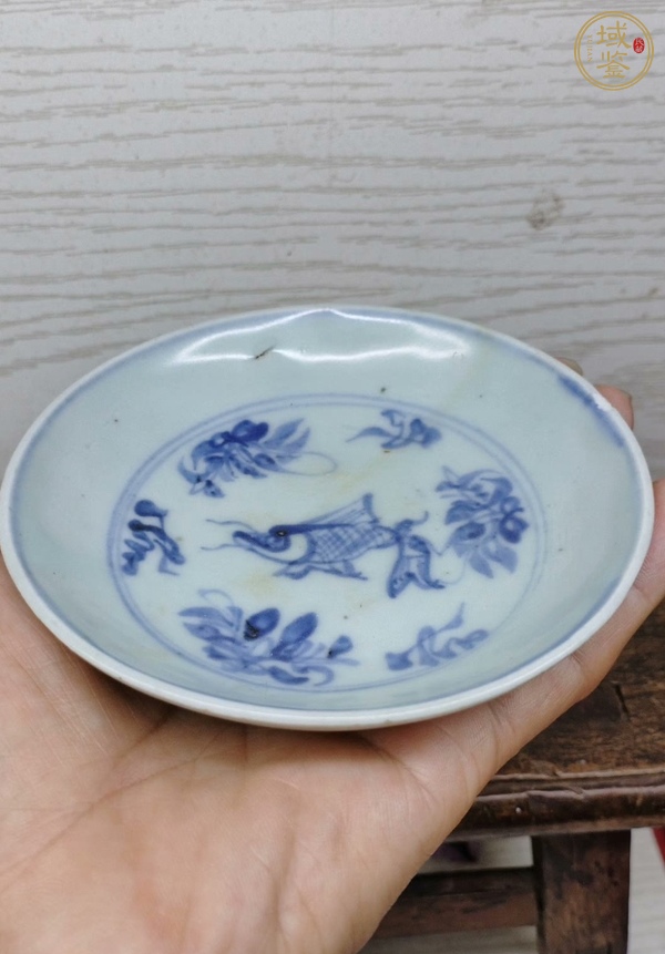 古玩陶瓷青花魚紋盤真品鑒賞圖
