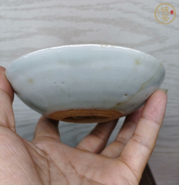 古玩陶瓷青花魚紋盤真品鑒賞圖