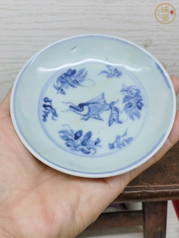古玩陶瓷青花魚紋盤真品鑒賞圖