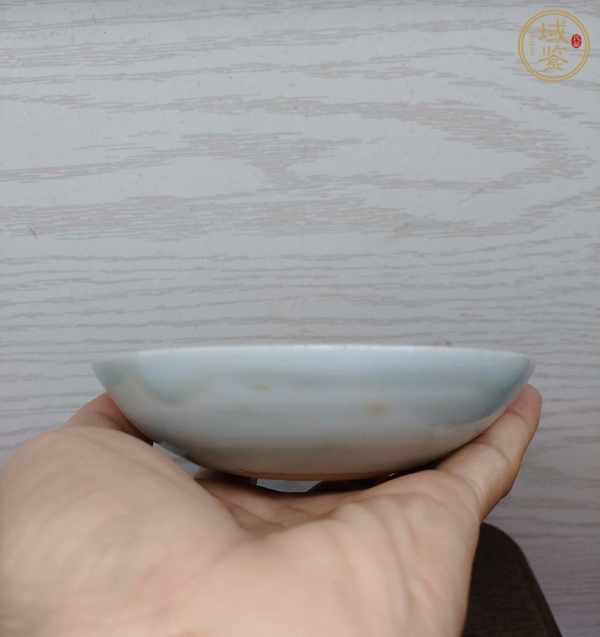 古玩陶瓷青花魚紋盤真品鑒賞圖