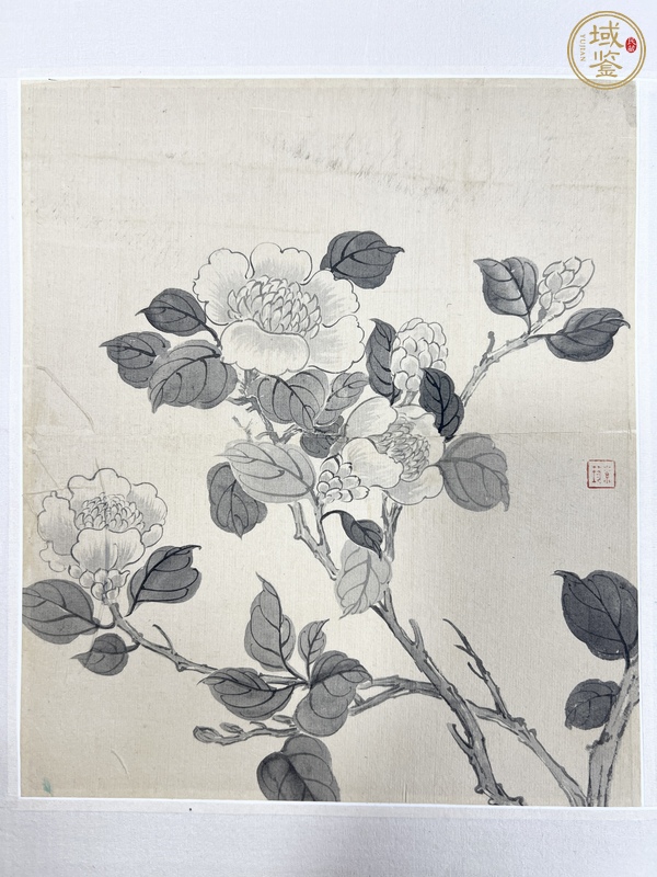 古玩字畫繆嘉惠花卉冊頁真品鑒賞圖