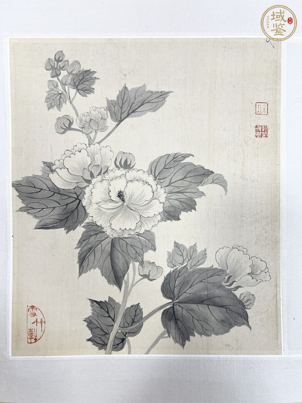 古玩字畫繆嘉惠花卉冊頁真品鑒賞圖
