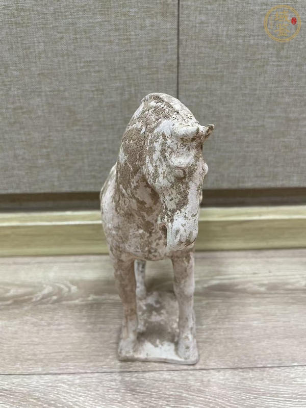 古玩陶瓷唐·駿馬真品鑒賞圖