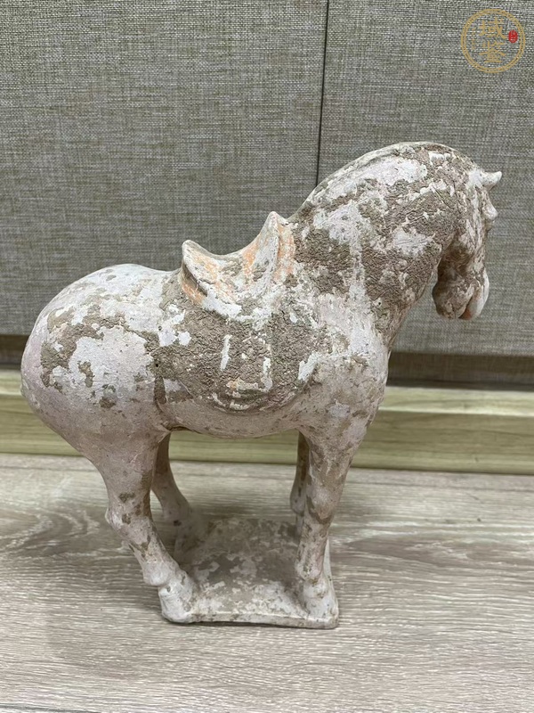 古玩陶瓷唐·駿馬真品鑒賞圖