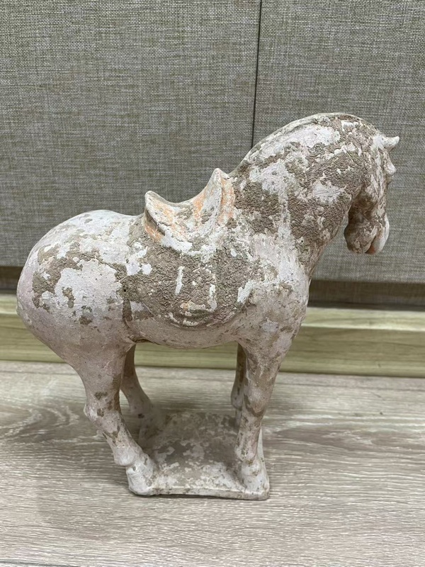 古玩陶瓷唐·駿馬拍賣,當(dāng)前價(jià)格500元